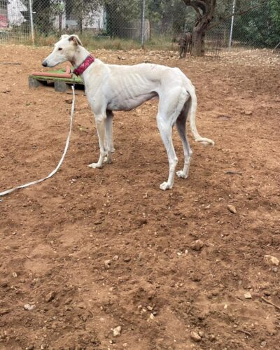 WhatsApp Image 2025-11-03 at 12.52.11 (1) WhatsApp Image 2025-11-03 at 12.52.11 (1)