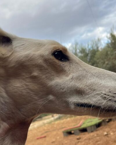 WhatsApp Image 2025-11-03 at 12.52.11 (2) WhatsApp Image 2025-11-03 at 12.52.11 (2)