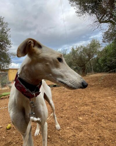 WhatsApp Image 2025-11-03 at 12.52.11 (3) WhatsApp Image 2025-11-03 at 12.52.11 (3)