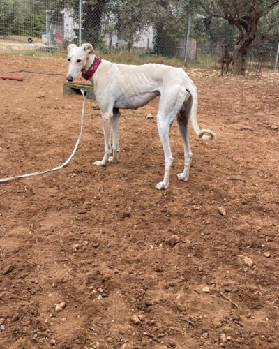 WhatsApp Image 2025-11-03 at 12.52.11 WhatsApp Image 2025-11-03 at 12.52.11