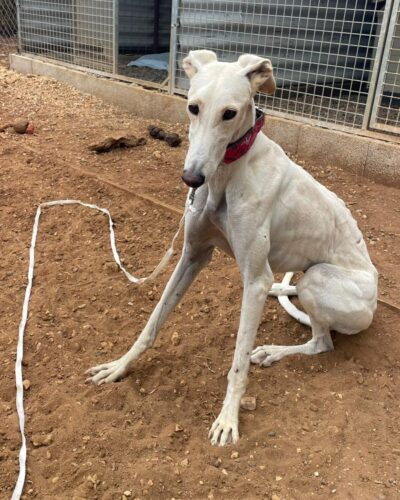 WhatsApp Image 2025-11-03 at 12.52.12 (1) WhatsApp Image 2025-11-03 at 12.52.12 (1)