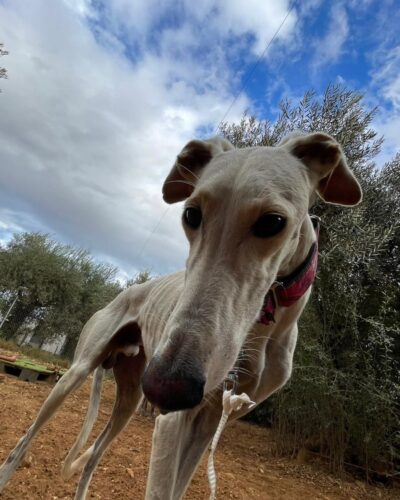 WhatsApp Image 2025-11-03 at 12.52.12 WhatsApp Image 2025-11-03 at 12.52.12