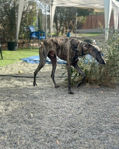 WhatsApp Image 2025-11-08 at 15.29.27 (1) WhatsApp Image 2025-11-08 at 15.29.27 (1)