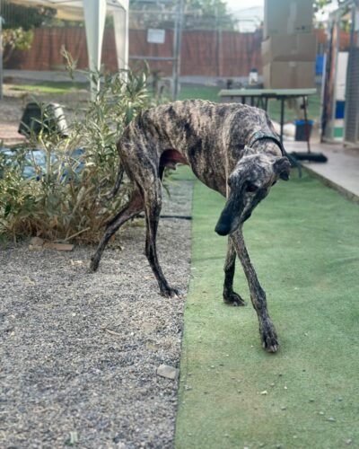 WhatsApp Image 2025-11-08 at 15.29.27 (2) WhatsApp Image 2025-11-08 at 15.29.27 (2)