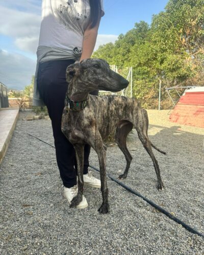 WhatsApp Image 2025-11-08 at 15.29.27 WhatsApp Image 2025-11-08 at 15.29.27