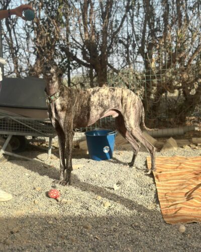 WhatsApp Image 2025-11-08 at 15.29.28 WhatsApp Image 2025-11-08 at 15.29.28