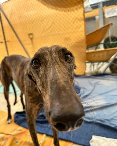 WhatsApp Image 2025-11-08 at 15.31.01 (1) WhatsApp Image 2025-11-08 at 15.31.01 (1)