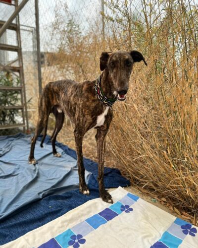 WhatsApp Image 2025-11-08 at 15.31.01 (3) WhatsApp Image 2025-11-08 at 15.31.01 (3)