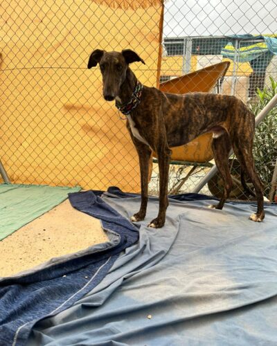 WhatsApp Image 2025-11-08 at 15.31.02 WhatsApp Image 2025-11-08 at 15.31.02