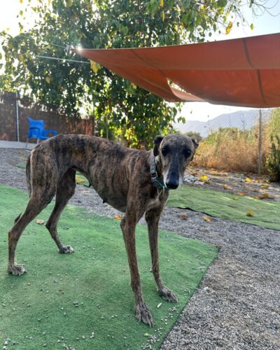 WhatsApp Image 2025-11-08 at 19.03.46 (2) WhatsApp Image 2025-11-08 at 19.03.46 (2)