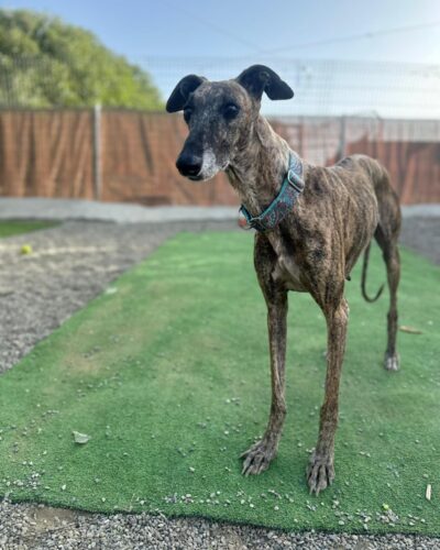 WhatsApp Image 2025-11-08 at 19.03.46 WhatsApp Image 2025-11-08 at 19.03.46