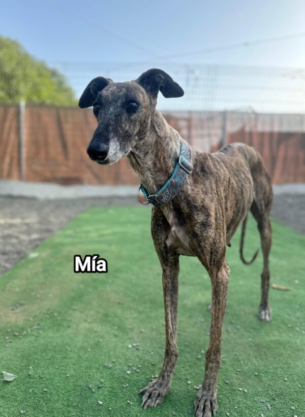 WhatsApp Image 2025-11-08 at 19.04.41