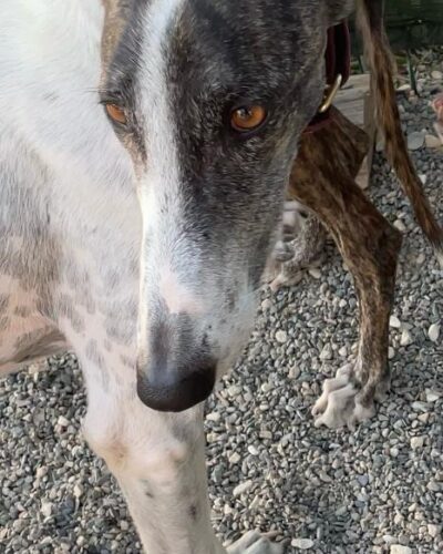 WhatsApp Image 2025-11-13 at 12.33.13 (1) WhatsApp Image 2025-11-13 at 12.33.13 (1)