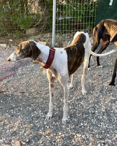 WhatsApp Image 2025-11-13 at 12.33.14 (1) WhatsApp Image 2025-11-13 at 12.33.14 (1)