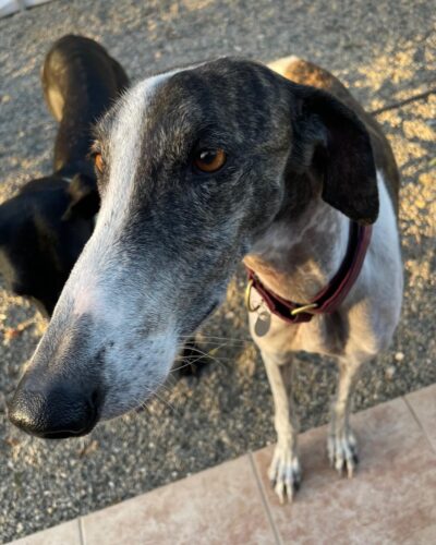 WhatsApp Image 2025-11-13 at 12.33.14 (2) WhatsApp Image 2025-11-13 at 12.33.14 (2)