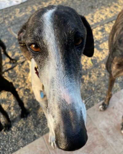 WhatsApp Image 2025-11-13 at 12.33.14 (3) WhatsApp Image 2025-11-13 at 12.33.14 (3)