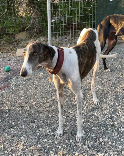 WhatsApp Image 2025-11-13 at 12.33.14 WhatsApp Image 2025-11-13 at 12.33.14