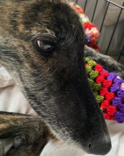 WhatsApp Image 2025-11-13 at 19.18.23 WhatsApp Image 2025-11-13 at 19.18.23