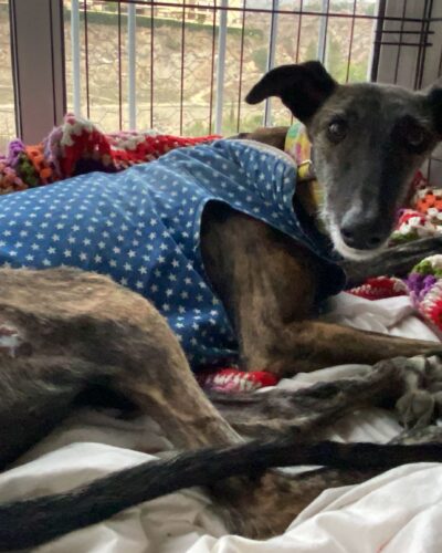 WhatsApp Image 2025-11-14 at 15.29.00 (2) WhatsApp Image 2025-11-14 at 15.29.00 (2)