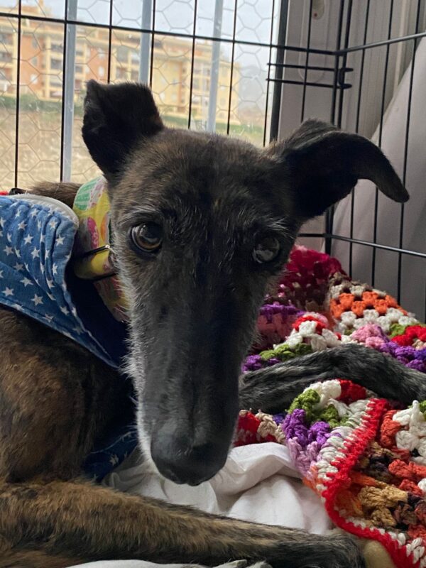 WhatsApp Image 2025-11-14 at 15.29.00