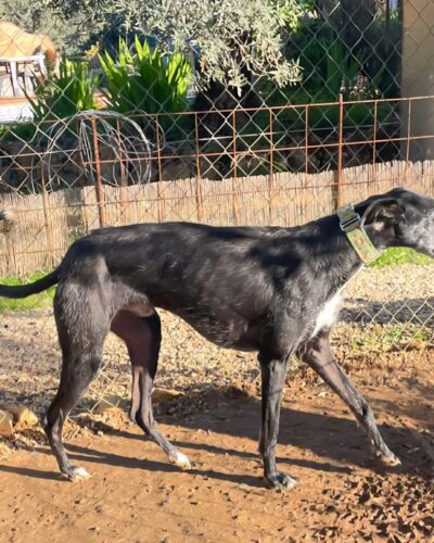 0ff0c382-418a-4acb-b637-2c5260cf8c61