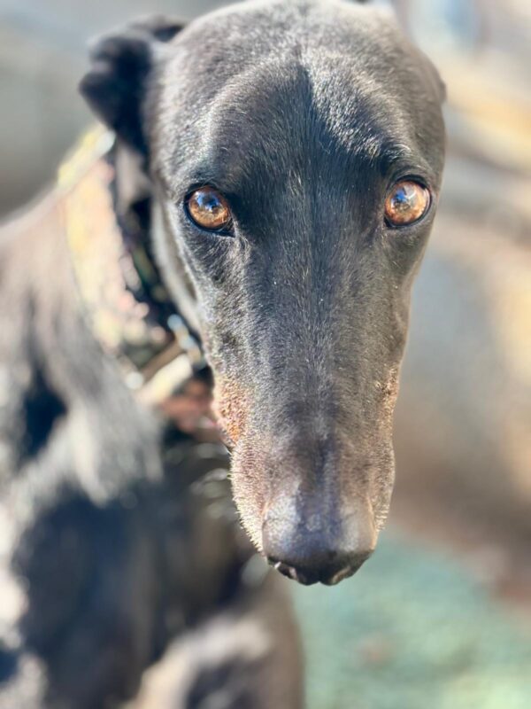 11b11ead-0e27-4c87-b57e-24dc697dbcef