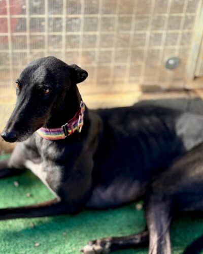 17b7666d-f74e-4c97-a402-112d91319193