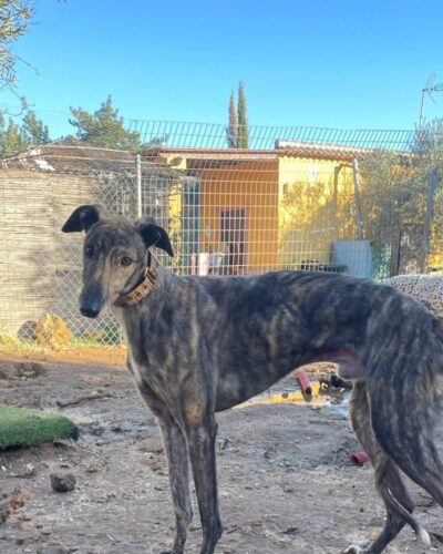 1fc90800-f746-40a0-85f8-7c0ca9d86295