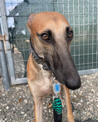 2f07710c-11a3-4e17-bb2c-d48c4c3ba62a