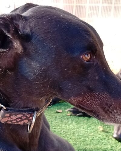 44bad2e8-7375-4aa6-bdff-c2b5e0fdb2a6