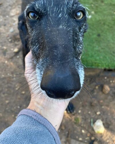 46991c05-172b-46f0-b1f4-0201e9d8084d