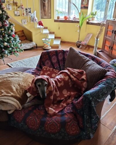 5628bfa4-ba09-4e63-870d-f18b463278fc