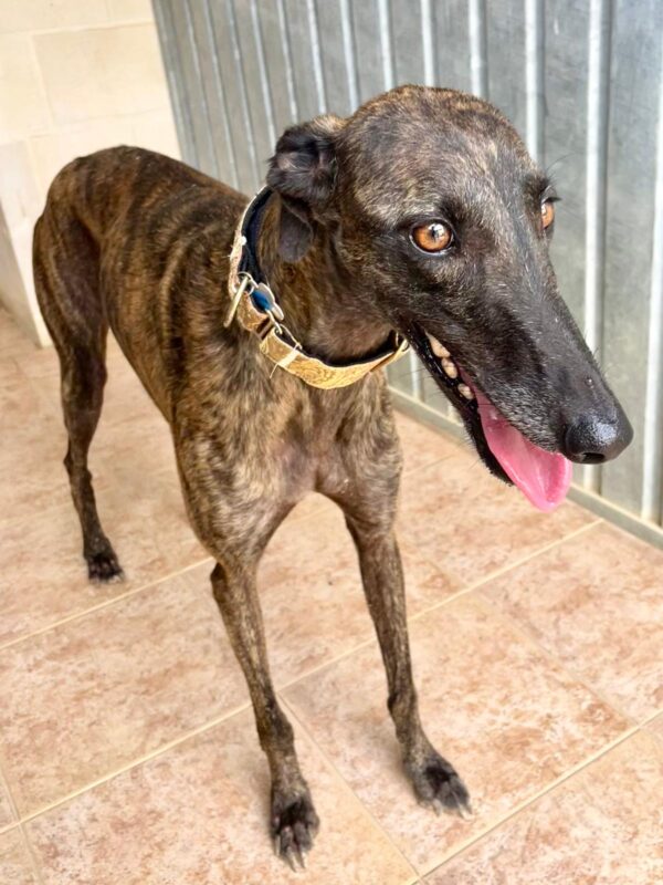 5e97685e-2344-47db-a37a-cdb6bd8b1eb8