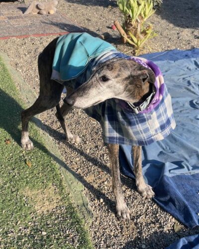 617f7f40-fecd-441f-a7da-3fade95e7d29