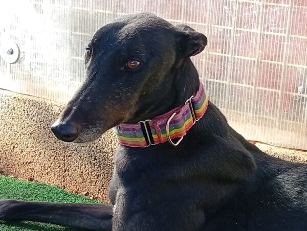 6328552f-6534-41bc-ab5e-13711adf1ae4