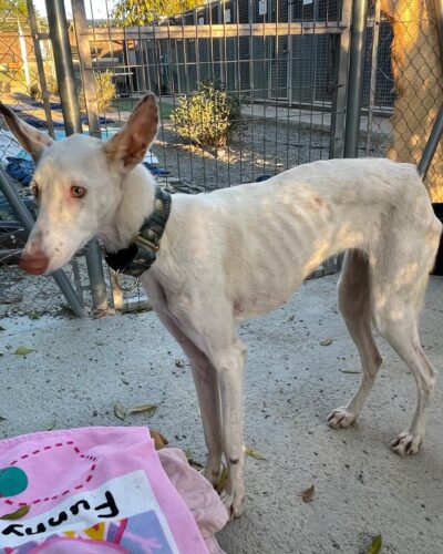 6c132a66-9e9d-44e9-bfd1-e836451c8e5d