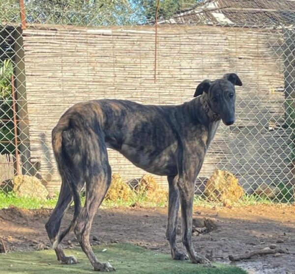 89e4944f-bf9c-486e-a015-1ec08fa95182