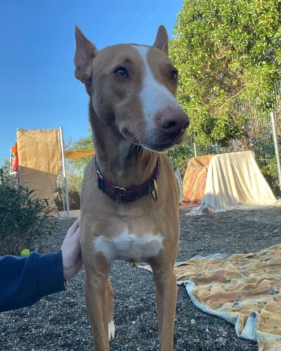 WhatsApp Image 2025-12-18 at 19.11.52 (2)