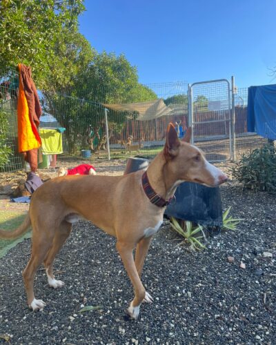 WhatsApp Image 2025-12-18 at 19.11.52