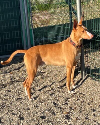 WhatsApp Image 2026-01-02 at 14.09.59 (1)