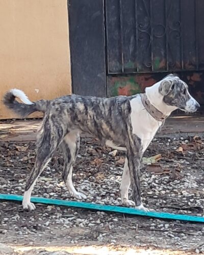 WhatsApp Image 2026-01-08 at 20.35.08 (1)