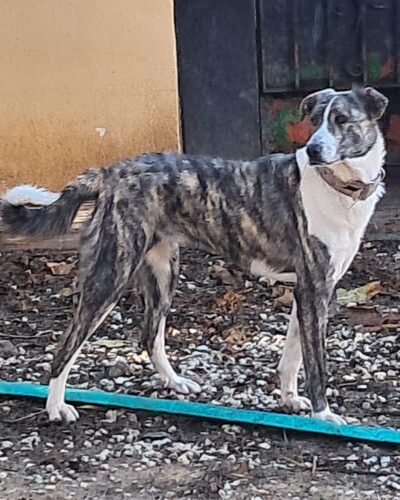 WhatsApp Image 2026-01-08 at 20.35.09