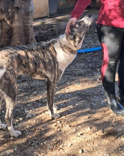 WhatsApp Image 2026-01-08 at 20.35.11