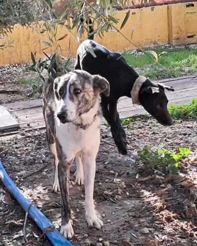 WhatsApp Image 2026-01-08 at 20.35.13 (3)