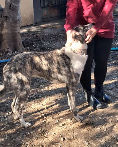 WhatsApp Image 2026-01-08 at 20.35.13