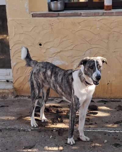 WhatsApp Image 2026-01-08 at 20.35.14 (2)