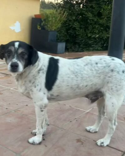 a92129df-a032-4b79-b877-8bc639baa7ca