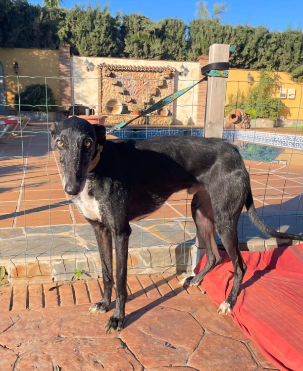 c6545a7d-fd43-4ce0-a6ac-2fd596e9fce8