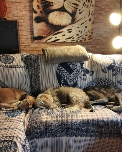 cd9aa26f-fe64-4ca8-80c9-d7914c369357