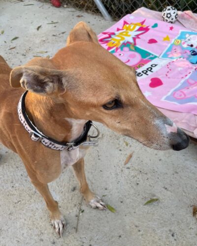 d892e672-4cb1-4b62-8d0f-b1e9af5ebe53